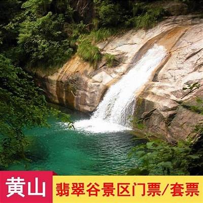 玉溪游乐园成人免费入园吗？门票政策详解